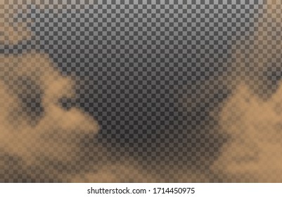Desert cloud or dirt sand smoke isolated on transparent background. Realistic natural dynamic effect with ground particles. Vector illustration.