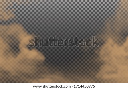 Desert cloud or dirt sand smoke isolated on transparent background. Realistic natural dynamic effect with ground particles. Vector illustration.