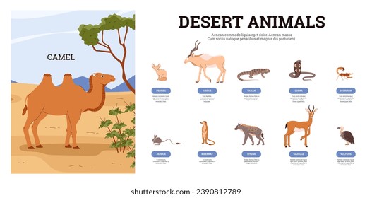 Criatura del desierto con animales y nombres de aves. Camello de dibujos animados, fennec, jerboa, addax, varan, cobra, gacela de escorpión hiena. Mamíferos silvestres exóticos, diferentes hábitats tropicales