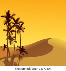 Desert, dune and palm tree