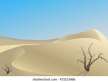  Desert dunes landscape and two camel thorn bush