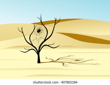 Desert. Dunes from sand and a dry tree with a web and a spider