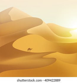 Desert dunes sunset landscape.