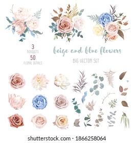 Desert dusty brown and yellow rose, beige peony, pastel pink protea, blue ranunculus, fern, dry plants, eucalyptus vector design big set. Elegant wedding bunches of flowers. Isolated and editable.