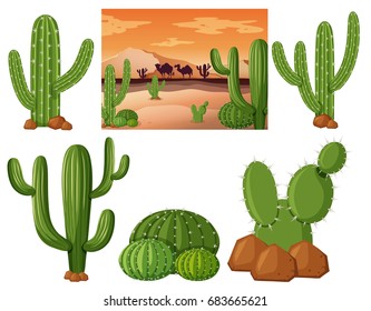 Desert field with cactus plants illustration