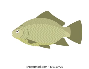 desert fish floats to a better life