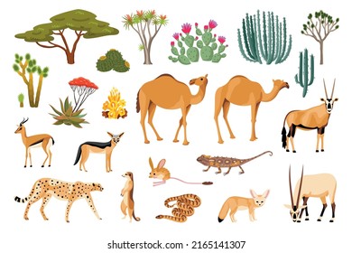 Desert flora and fauna cartoon set of reptile camel leopard snake goat jackal cactus isolated vector illustration - Shutterstock ID 2165141307
