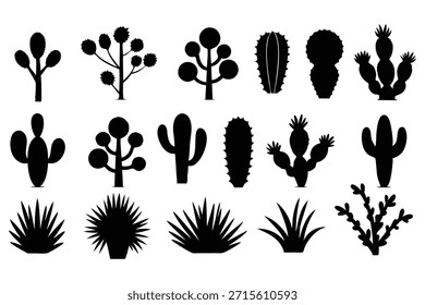 Siluetas de flora del desierto cactus suculento