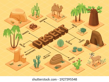 Desert flowchart with isometric plants mountains rocks caves animals 3d vector illustration