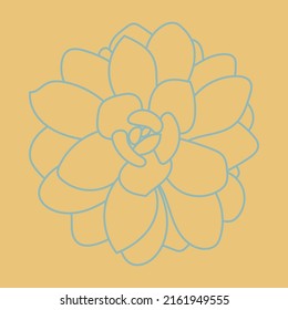 Desert flower for prints and designs. Cute pattern. Doodle Succulent Flower. 