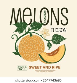 desert food fashion. Arizona summer print graphics in vector. Arizona melons fruit print. Arizona fruit print design. t shirt print in vector graphics