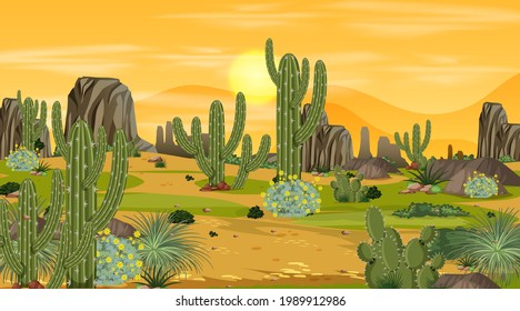 Desert forest landscape at sunset time scene with many cactuses illustration