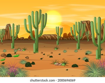 Desert forest landscape at sunset time scene with many cactuses illustration
