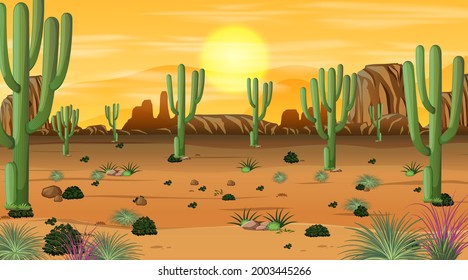 Desert forest landscape at sunset time scene with many cactuses illustration