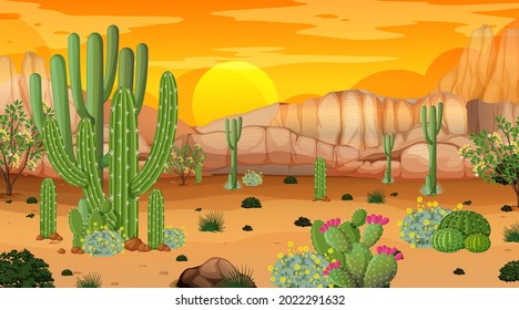 Desert forest landscape at sunset time scene with many cactuses illustration
