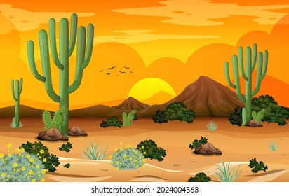 Desert forest landscape at sunset time scene with many cactuses illustration