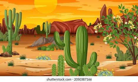 Desert forest landscape at sunset time scene with many cactuses illustration