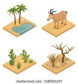 Desierto cuatro elementos aislados paisaje ilustrado con animales de oasis de sequía palmeras de cactus y suculentos ilustración vectorial isométrica