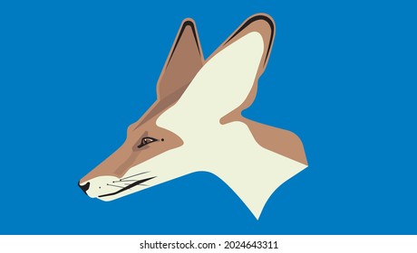 desert fox illustration with blue background. 