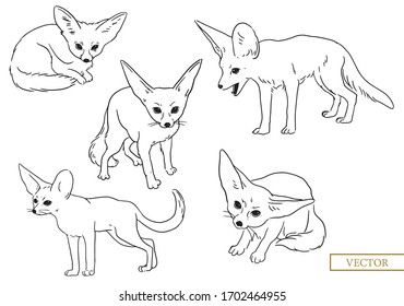 Desert fox simple illustration. Vulpes zerda black and white doodle vector graphic.