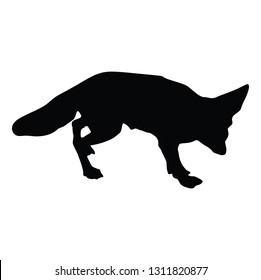 Desert fox, vector