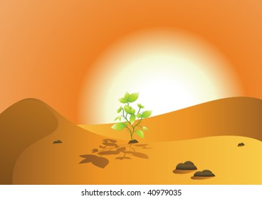 	 desert and green seedlings