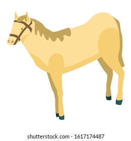 Desert horse icon. Isometric of desert horse vector icon for web design isolated on white background