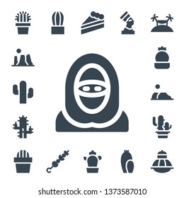 desert icon set. 17 filled desert icons.  Simple modern icons about  - Cactus, Canyon, Desert, Brochette, Cake, Pharaoh, Island, Terrarium