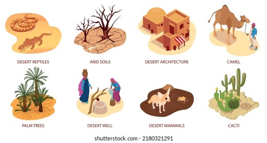 Desert isometric compositions with reptiles camel cactus palm trees arid soils architecture isolated vector illustration