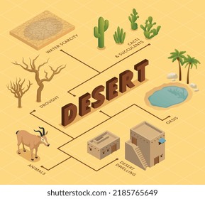 Wüstenisometrisches Flussdiagramm, das die Wasserknappheit von Tieren in Dürre darstellt, Kakteen und Sukkulentoasis und Wohnvektorgrafik