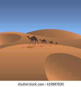 desert landscape
