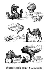 desert landscape with arab and camel next to statue face, touristic hand drawn illustration of exploring in the dust, old arabic man on camelback