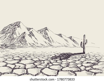 Desert landscape, arid environment and a cactus in the background