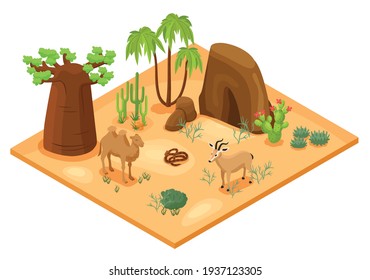 Desert landscape with cacti palms rocks camel snake and gazelle isometric vector illustration