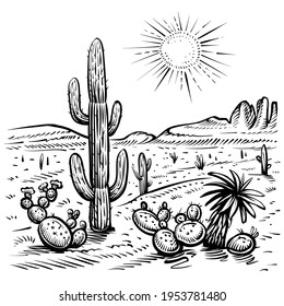 Desert landscape and cactus, vector illustration. Line sketch with desert plants as saguaro and opuntia, sunset, rocks.