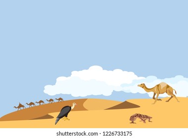 Desert landscape, camel, varan lizard, vulture on the barhans, wildlife vector illustration