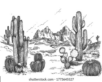 Desert landscape. Hand drawn mexican prairie with plants and blooming cactuses, prickly succulents nature wild west sketch vector background. Scenery with rock and mountain, environment