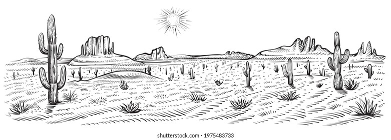 Desert landscape panorama, vector illustration. Line sketch with cactus, sunset, rocks.