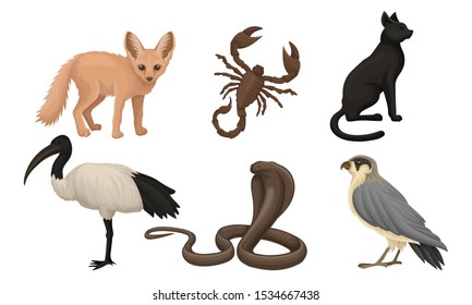 Desert Living Creatures Vector Illustrated Set Isolated On White Background