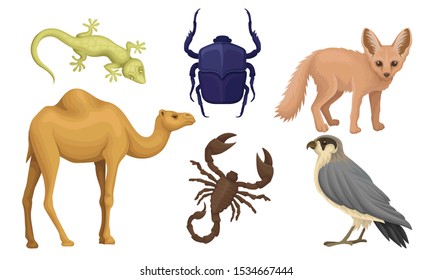 Desert Living Creatures Vector Illustrated Set Isolated On White Background