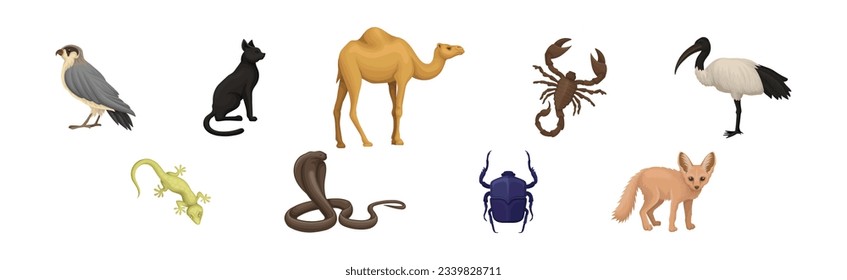 Desert Living Creatures and Wild Animal Vector Set