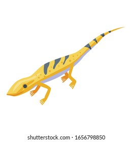 Icono del lagarto del desierto. Isométrico icono vectorial de lagarto del desierto para el diseño web aislado en fondo blanco