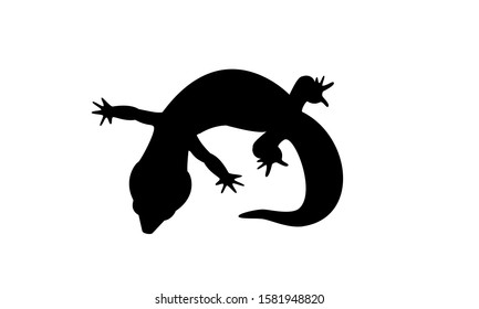 desert lizard for a reptile lover's logo or icon