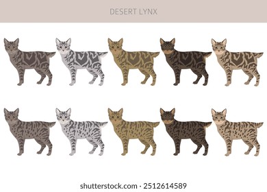 Desert Lynx Cat Clipart. Alle Fellfarben eingestellt.  Alle Katze Rassen Merkmale Infografik. Vektorgrafik