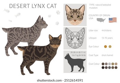 Desert Lynx Cat clipart. All coat colors set.  All cat breeds characteristics infographic. Vector illustration