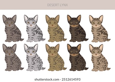 Desert Lynx Cat Clipart. Alle Fellfarben eingestellt.  Alle Katze Rassen Merkmale Infografik. Vektorgrafik