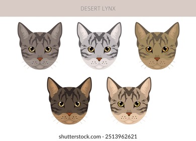 Desert Lynx Cat Clipart. Alle Fellfarben eingestellt.  Alle Katze Rassen Merkmale Infografik. Vektorgrafik