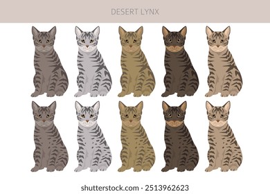 Desert Lynx Cat Clipart. Alle Fellfarben eingestellt.  Alle Katze Rassen Merkmale Infografik. Vektorgrafik