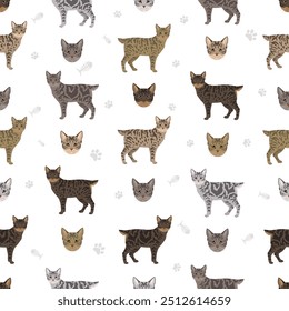 Desert Lynx Cat nahtloses Muster. Alle Fellfarben eingestellt.  Alle Katze Rassen Merkmale Infografik. Vektorgrafik