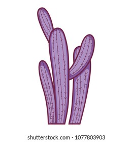 desert nature cactus plant design